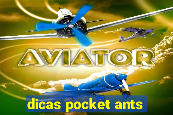 dicas pocket ants