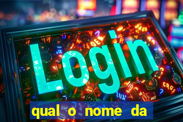 qual o nome da casinha do pinguim