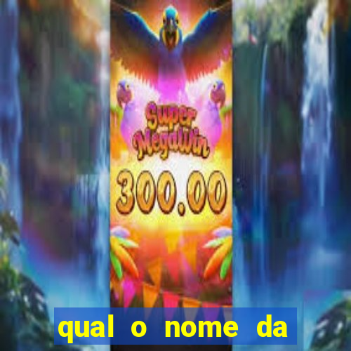 qual o nome da casinha do pinguim