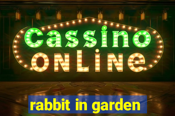 rabbit in garden