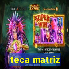 teca matriz