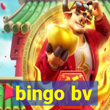 bingo bv