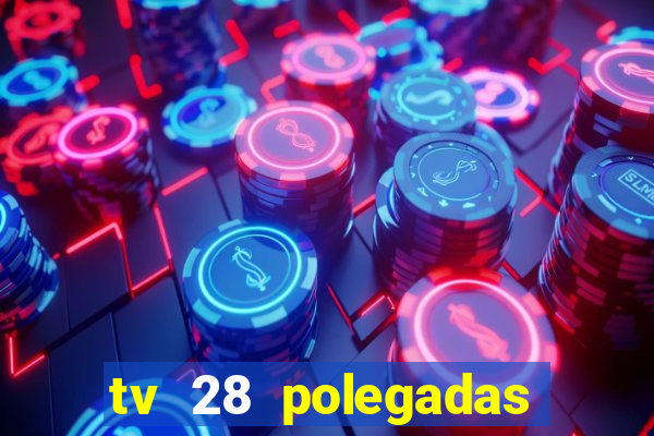 tv 28 polegadas casas bahia