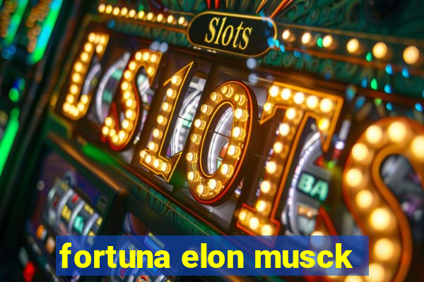 fortuna elon musck