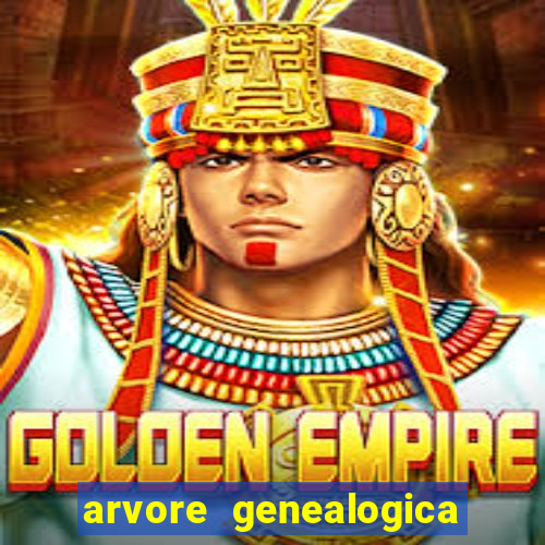 arvore genealogica dos gracie