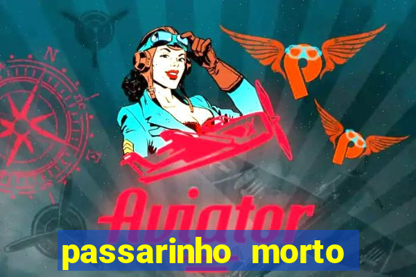 passarinho morto significado espiritual