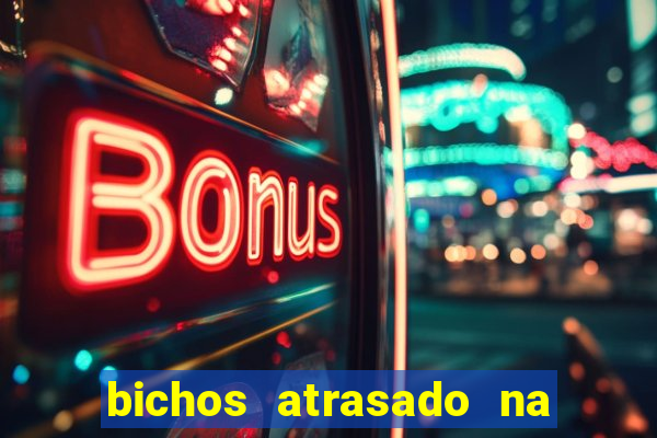 bichos atrasado na loteria dos sonhos