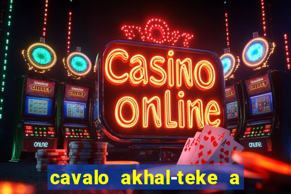 cavalo akhal-teke a venda no brasil cavalo akhal teke no