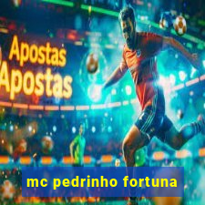 mc pedrinho fortuna